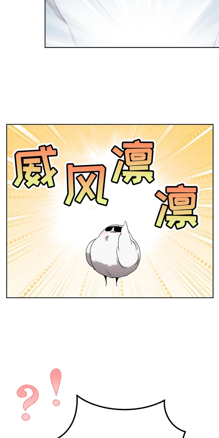 白鸟奇遇记漫画,第98章：【第二季】没有不愿意3图