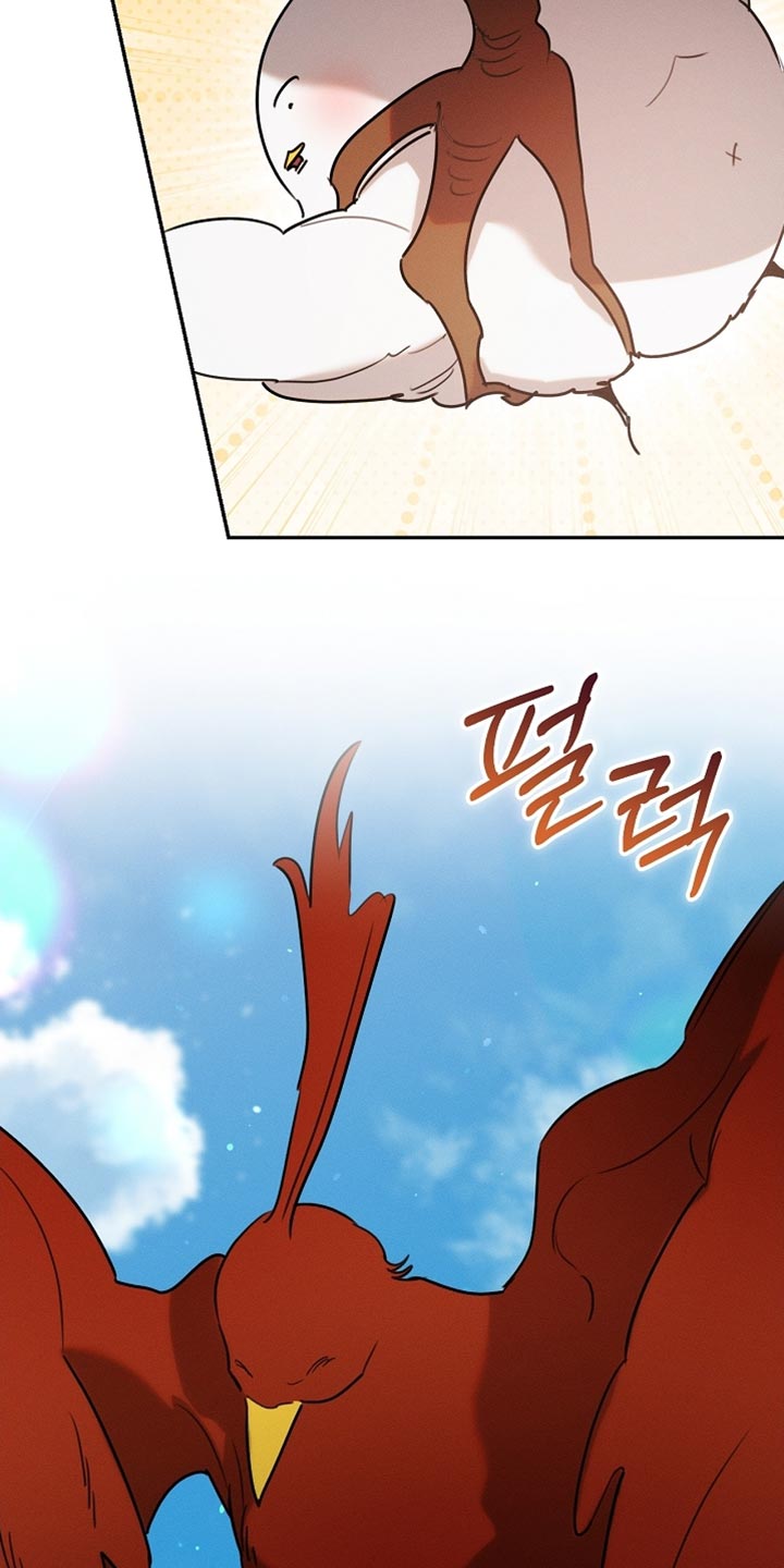 白鸟奇遇记6漫画,第107章：【第二季】被抓住了1图