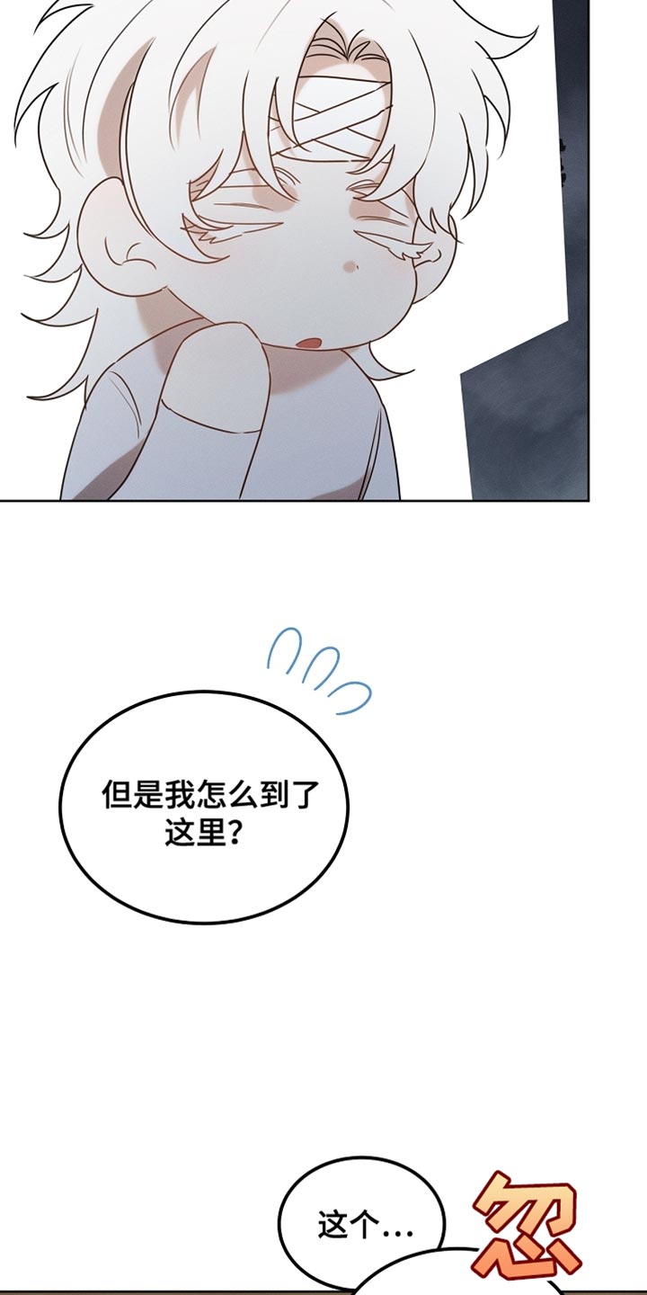 白鸟奇遇记漫画全集漫画,第104章：【第二季】在变一次鸟儿吗？3图