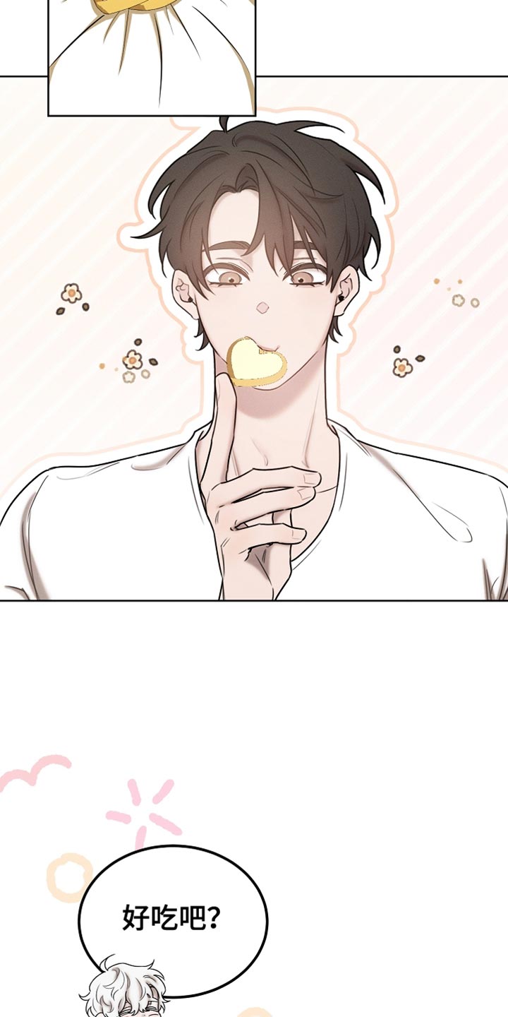 白鸟奇遇记漫画,第84章：【第二季】送曲奇3图