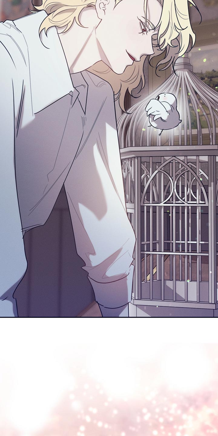 白鸟奇遇记漫画又名叫什么漫画,第109章：【第二季】仇人3图