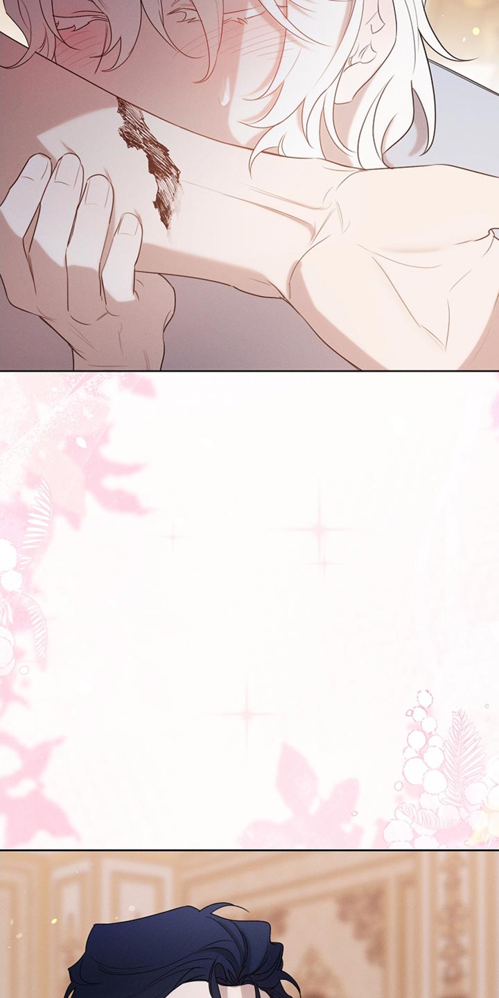 白鸟奇遇记漫画,第98章：【第二季】没有不愿意1图