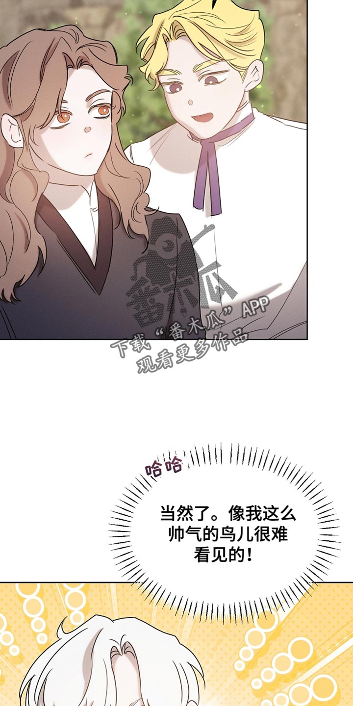 白鸟奇遇记全集完整版解说漫画,第93章：【第二季】不要过来啊1图