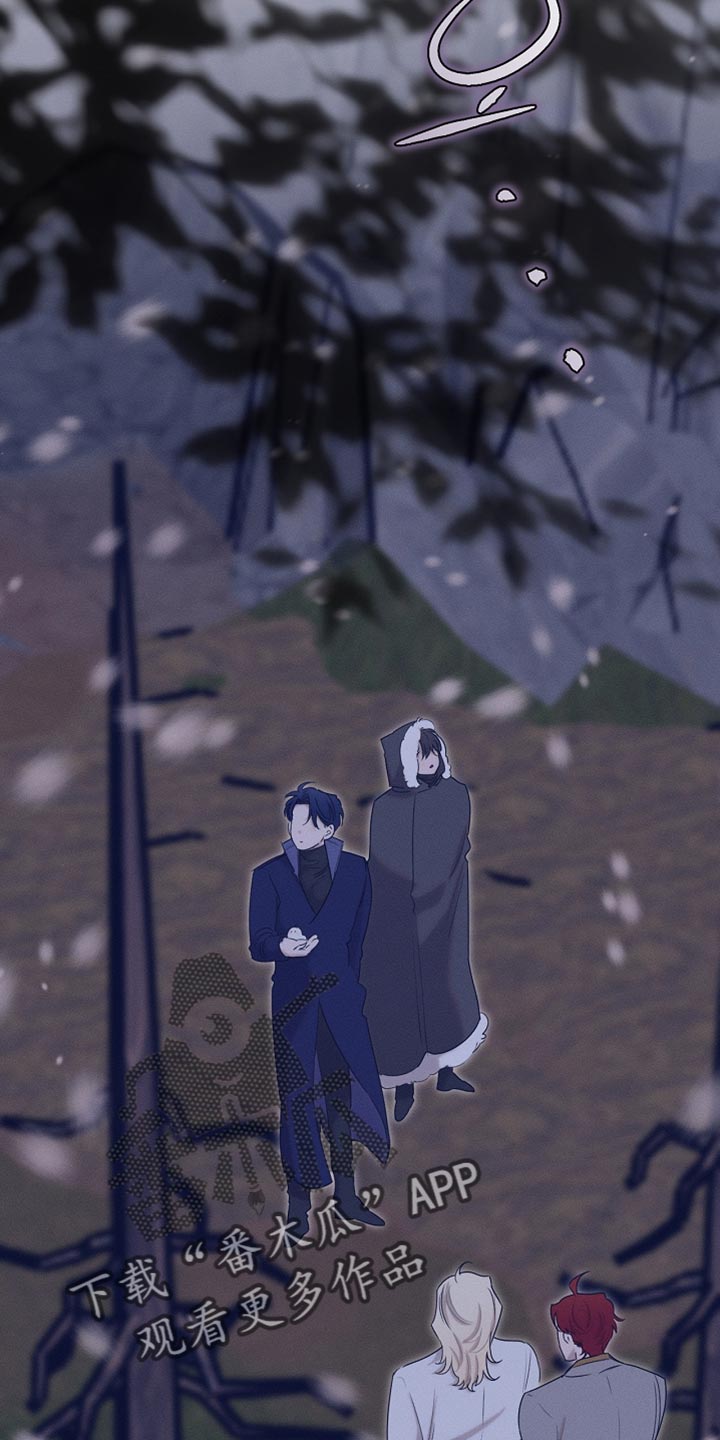 白鸟奇遇记第1季漫画,第111章：【第二季】我就让你们吃点苦5图