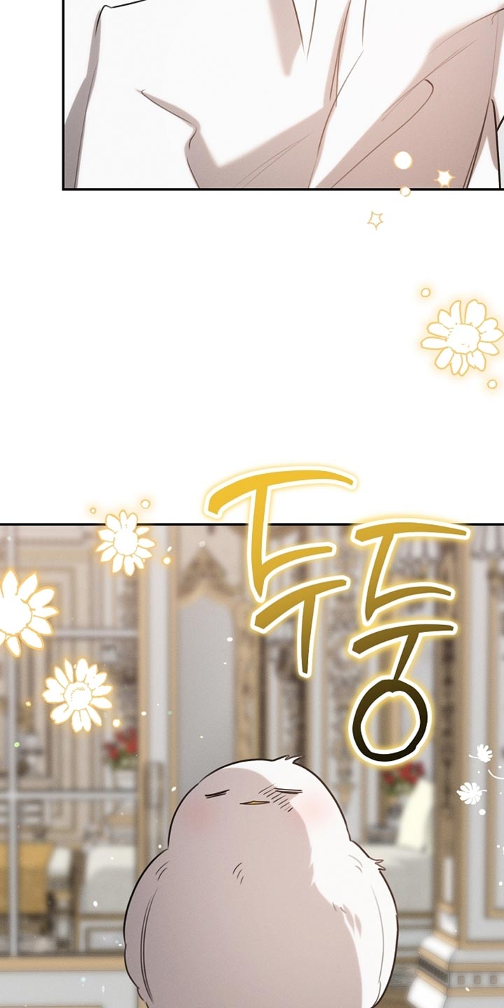 白鸟奇遇记6漫画,第107章：【第二季】被抓住了2图