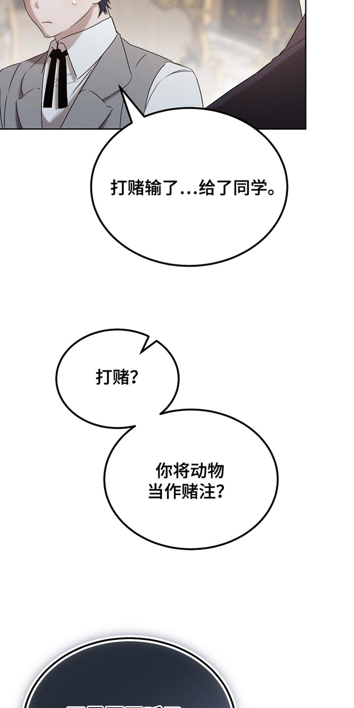 白鸟奇遇记1至200集漫画,第92章：【第二季】打赌2图