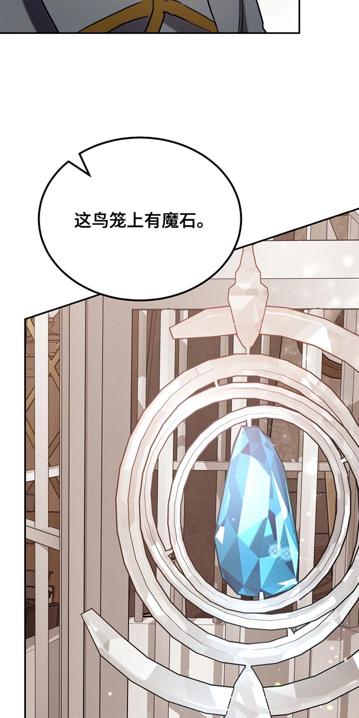 白鸟奇遇记漫画全集漫画,第108章：【第二季】被绑架了！4图