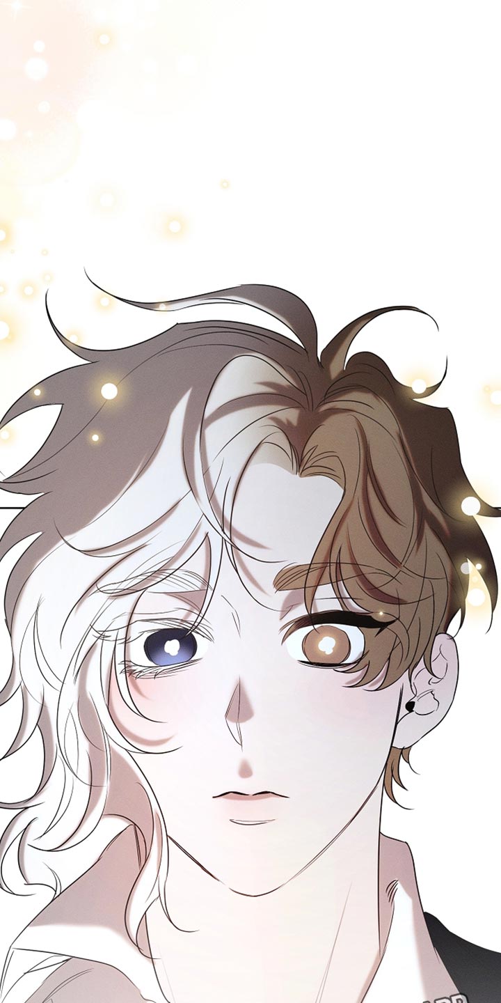 《白鸟奇遇记》简介漫画,第99章：【第二季】他正在担心我1图