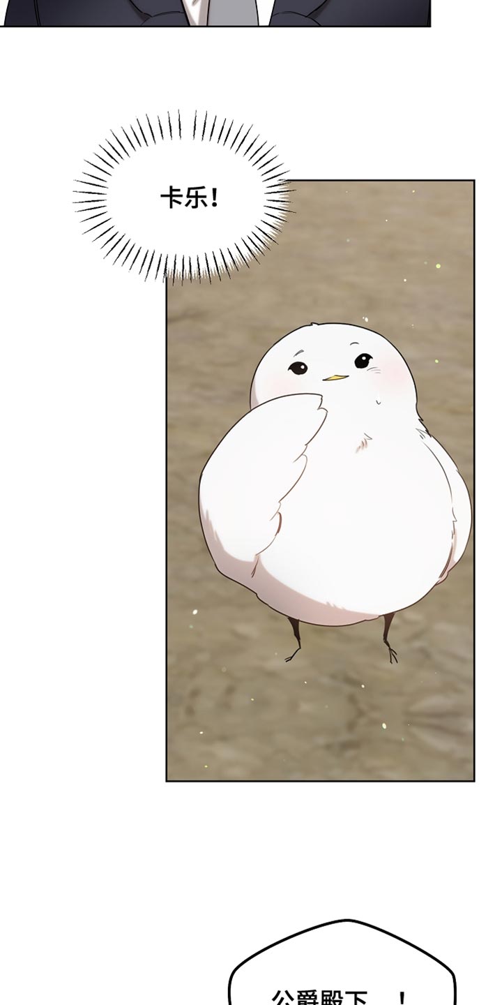 白鸟奇遇记1至200集漫画,第95章：【第二季】跟我一起走吧3图
