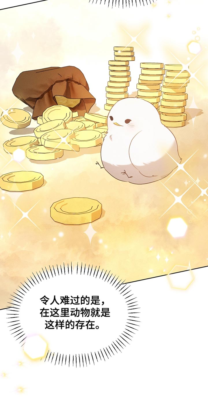 白鸟奇遇记6漫画,第91章：【第二季】你依旧很可爱3图