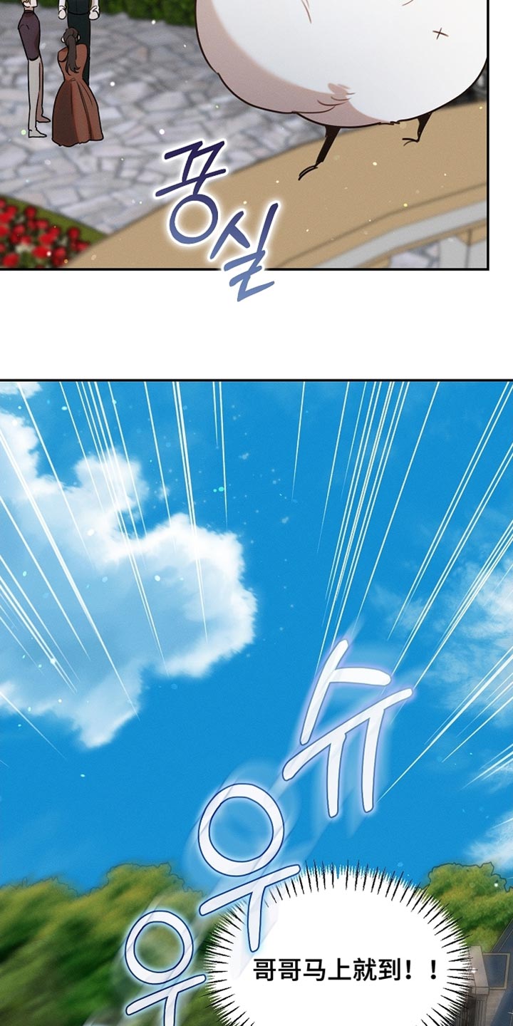 白鸟奇遇记6漫画,第107章：【第二季】被抓住了4图