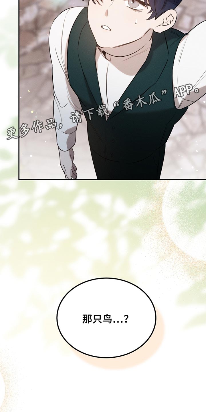 白鸟奇遇记6漫画,第107章：【第二季】被抓住了4图