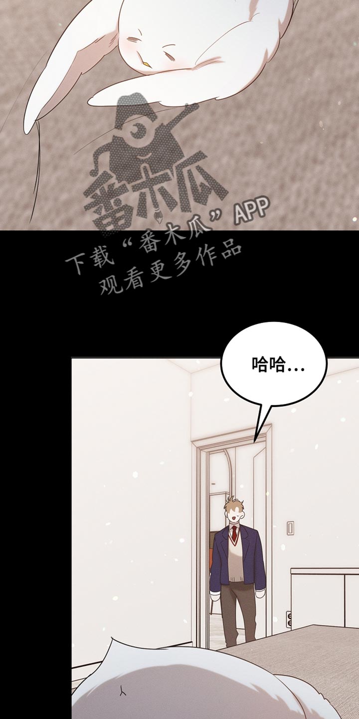 《白鸟奇遇记》简介漫画,第99章：【第二季】他正在担心我1图