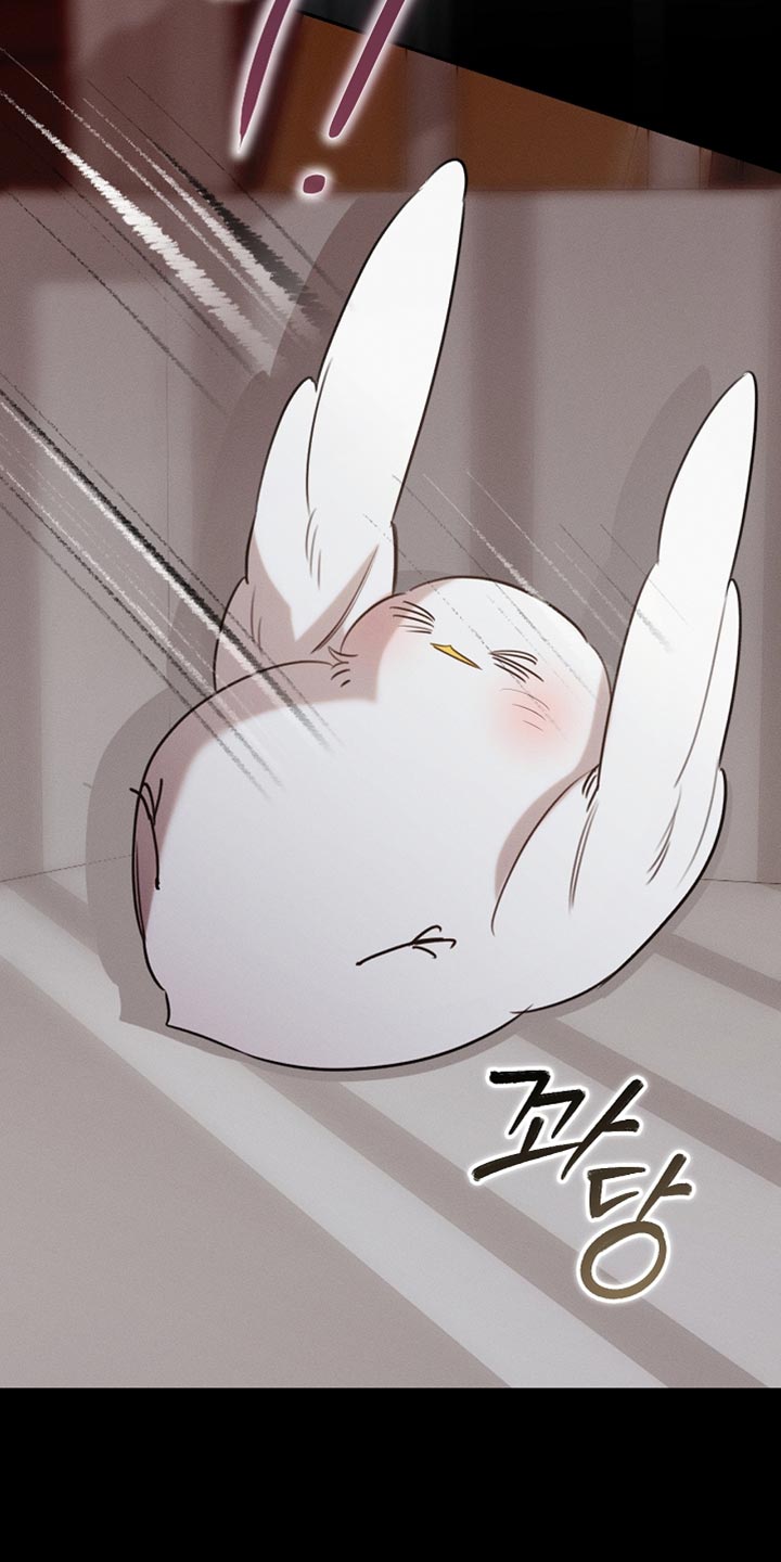 白鸟奇遇记漫画全集漫画,第108章：【第二季】被绑架了！2图