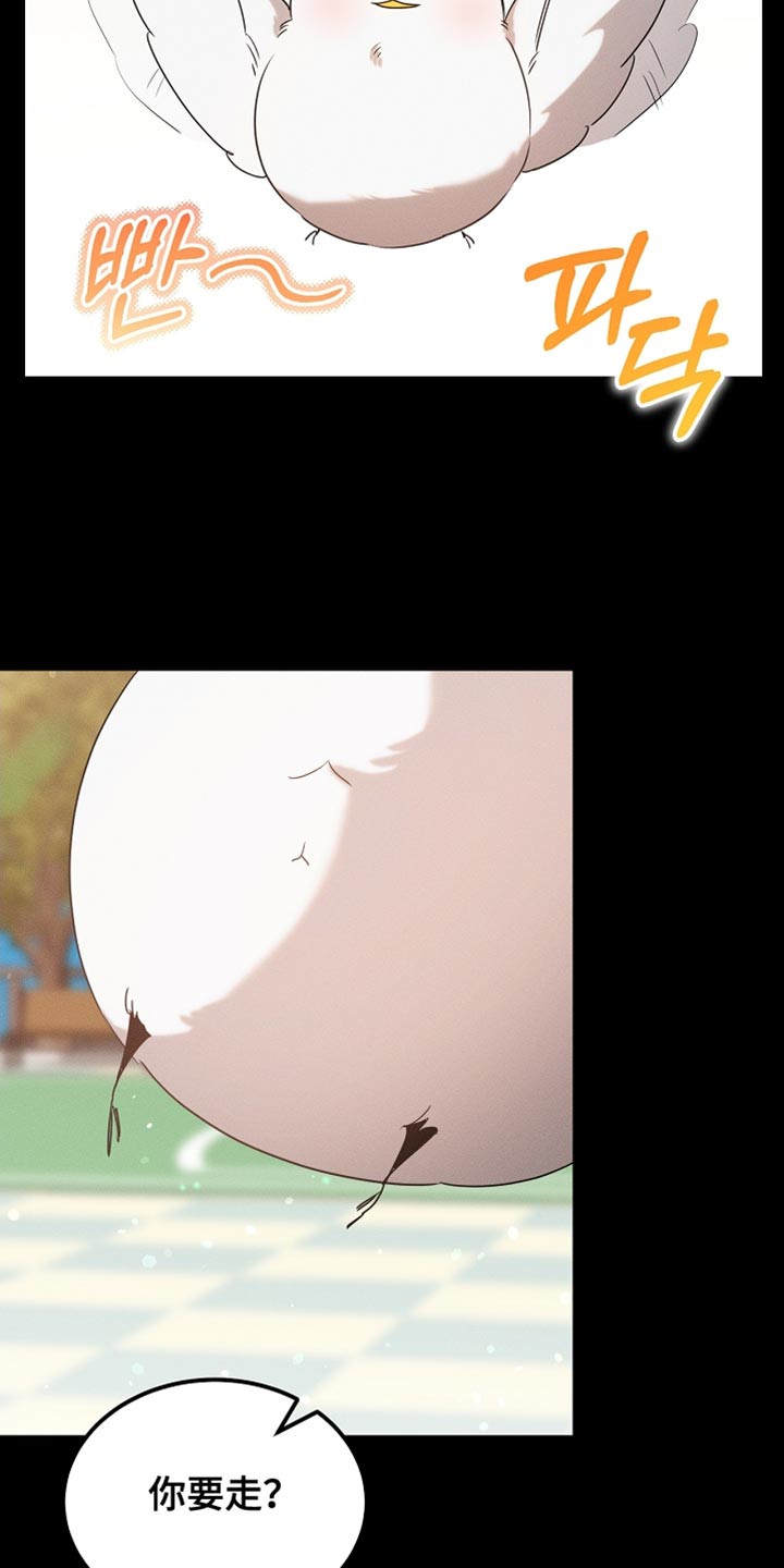 《白鸟奇遇记》简介漫画,第99章：【第二季】他正在担心我2图