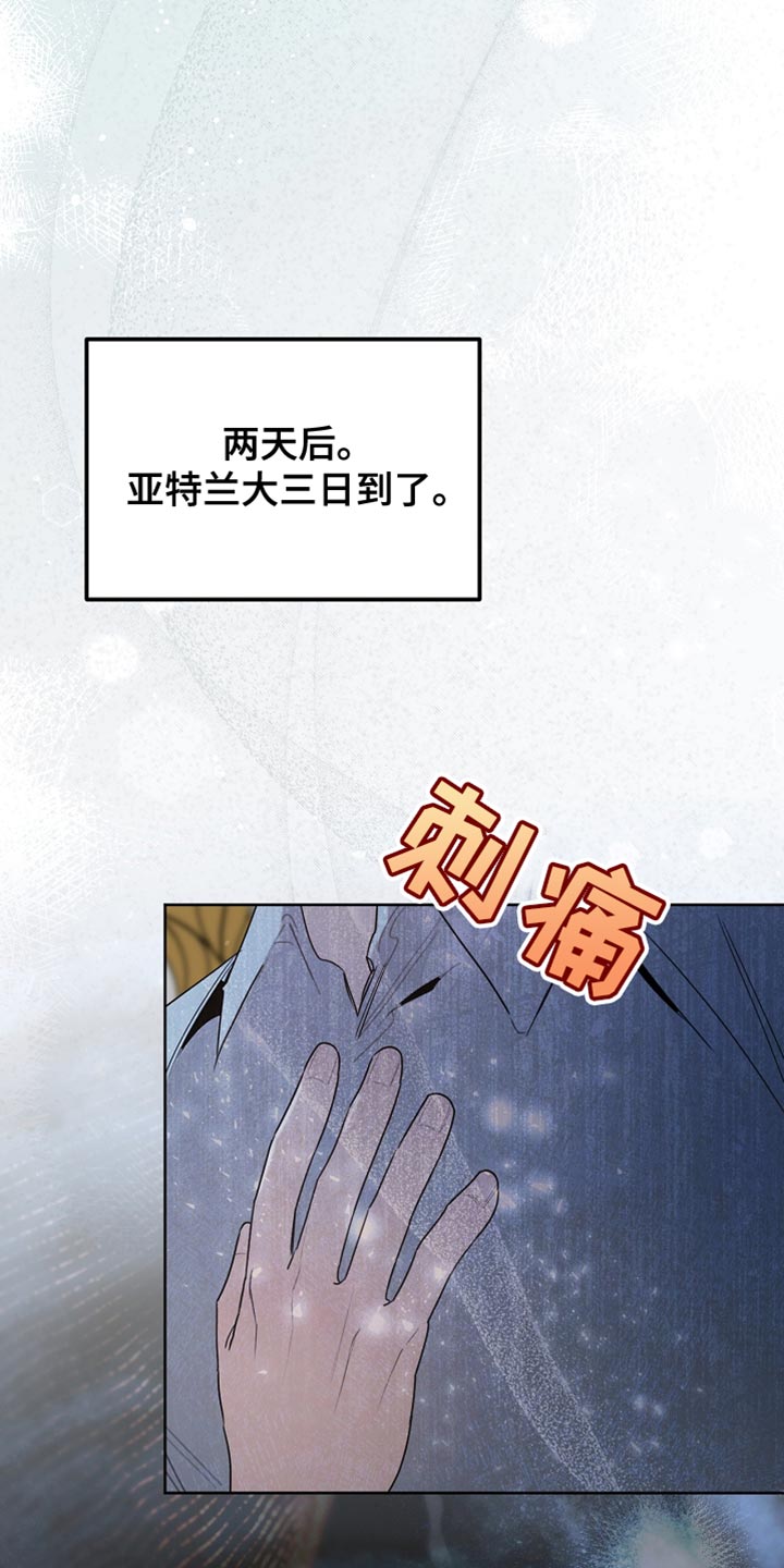 白鸟奇遇记第1季漫画,第97章：【第二季】平静的生活2图