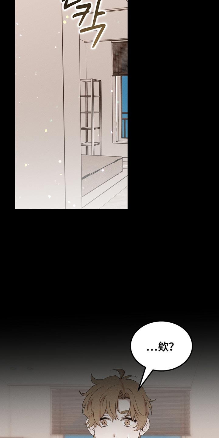 《白鸟奇遇记》简介漫画,第99章：【第二季】他正在担心我2图