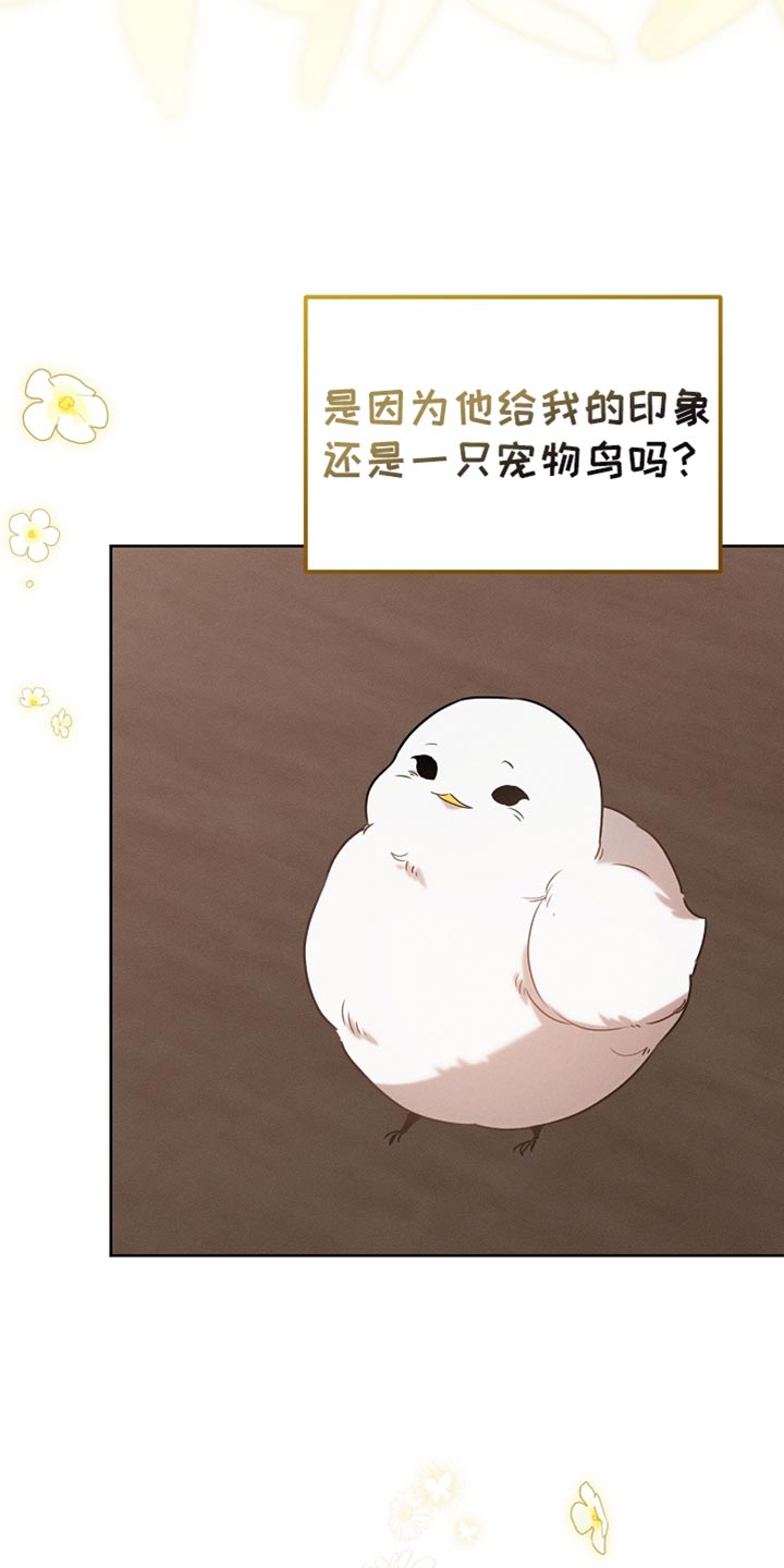 白鸟奇遇记漫画下拉式漫画,第87章：【第二季】我全都很好奇2图