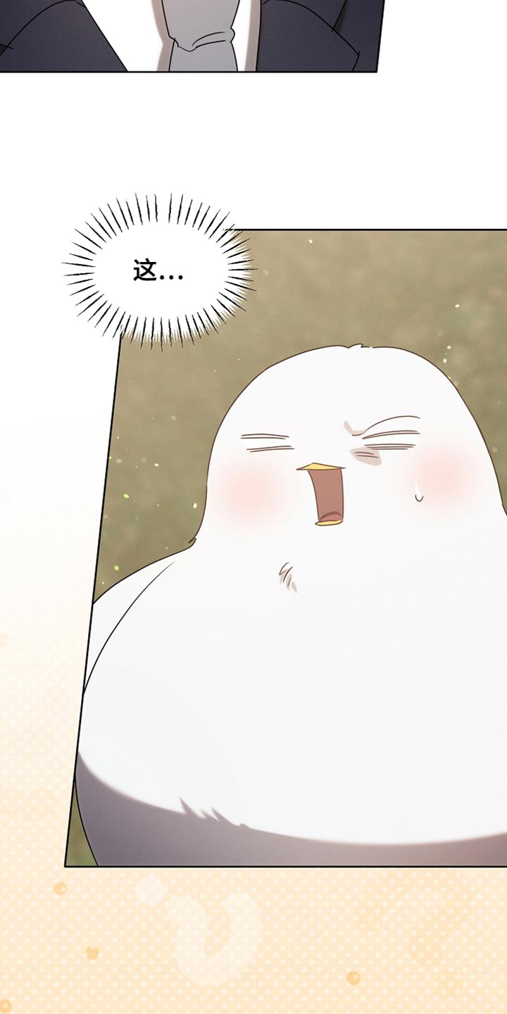 白鸟的故事漫画,第93章：【第二季】不要过来啊3图