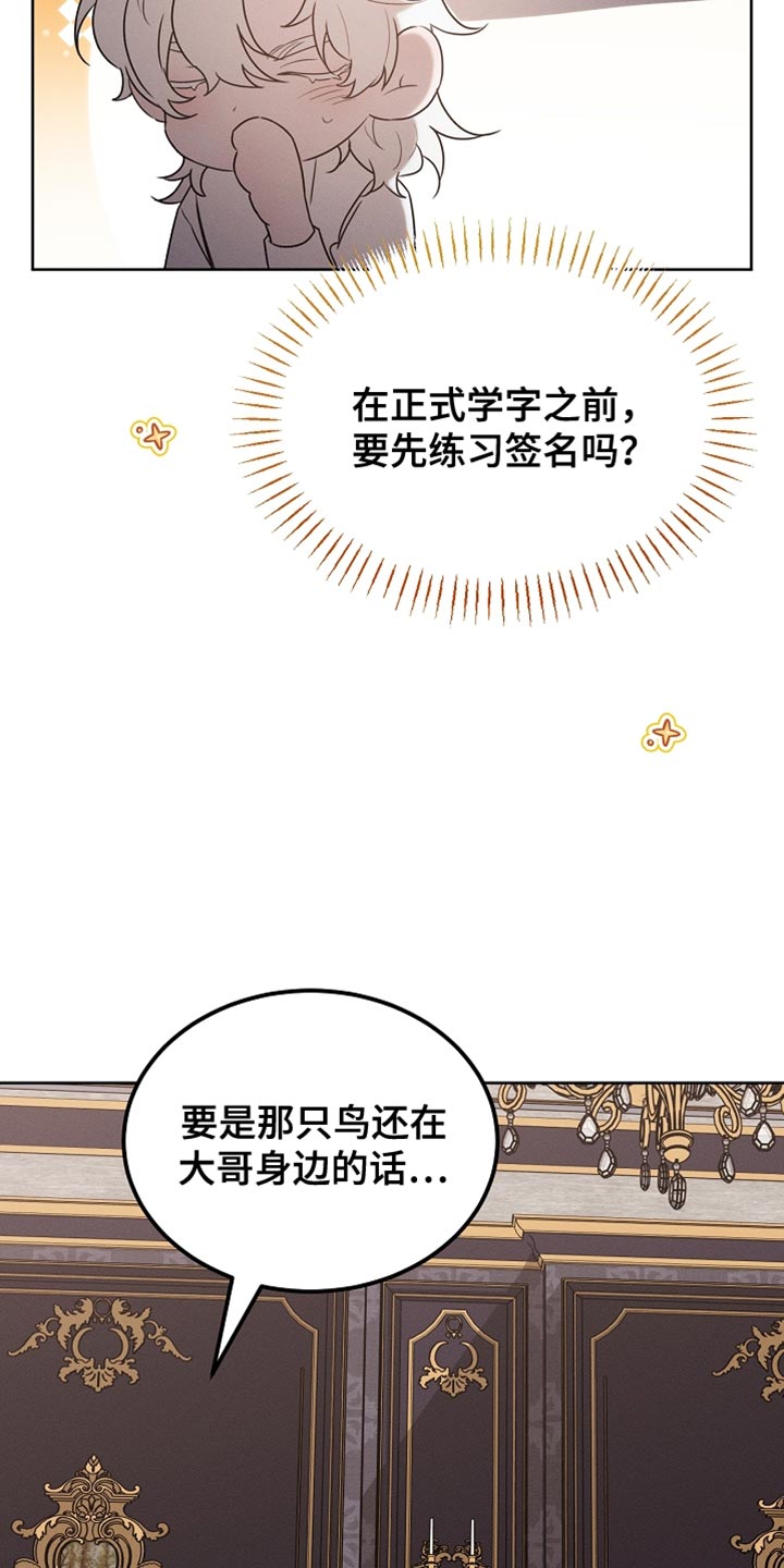 白鸟奇遇记漫画,第92章：【第二季】打赌4图