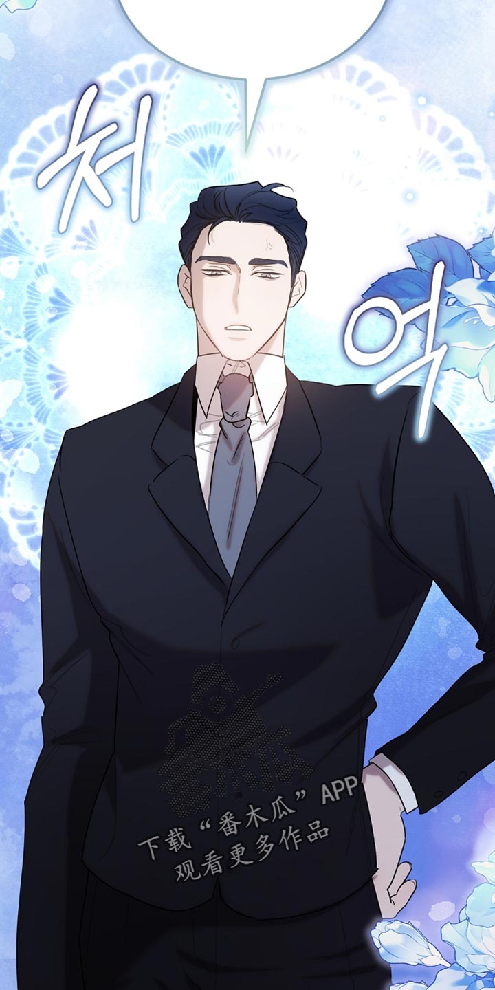 白鸟奇遇记1至200集漫画,第95章：【第二季】跟我一起走吧1图