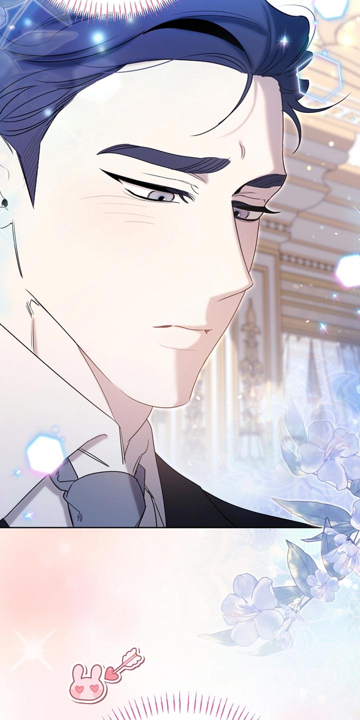 白鸟奇遇记6漫画,第97章：【第二季】平静的生活5图