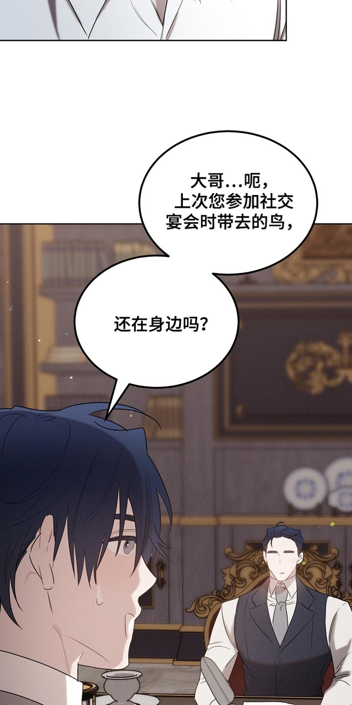 白鸟奇遇记漫画,第92章：【第二季】打赌1图