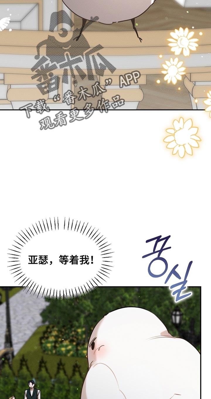 白鸟奇遇记6漫画,第107章：【第二季】被抓住了3图