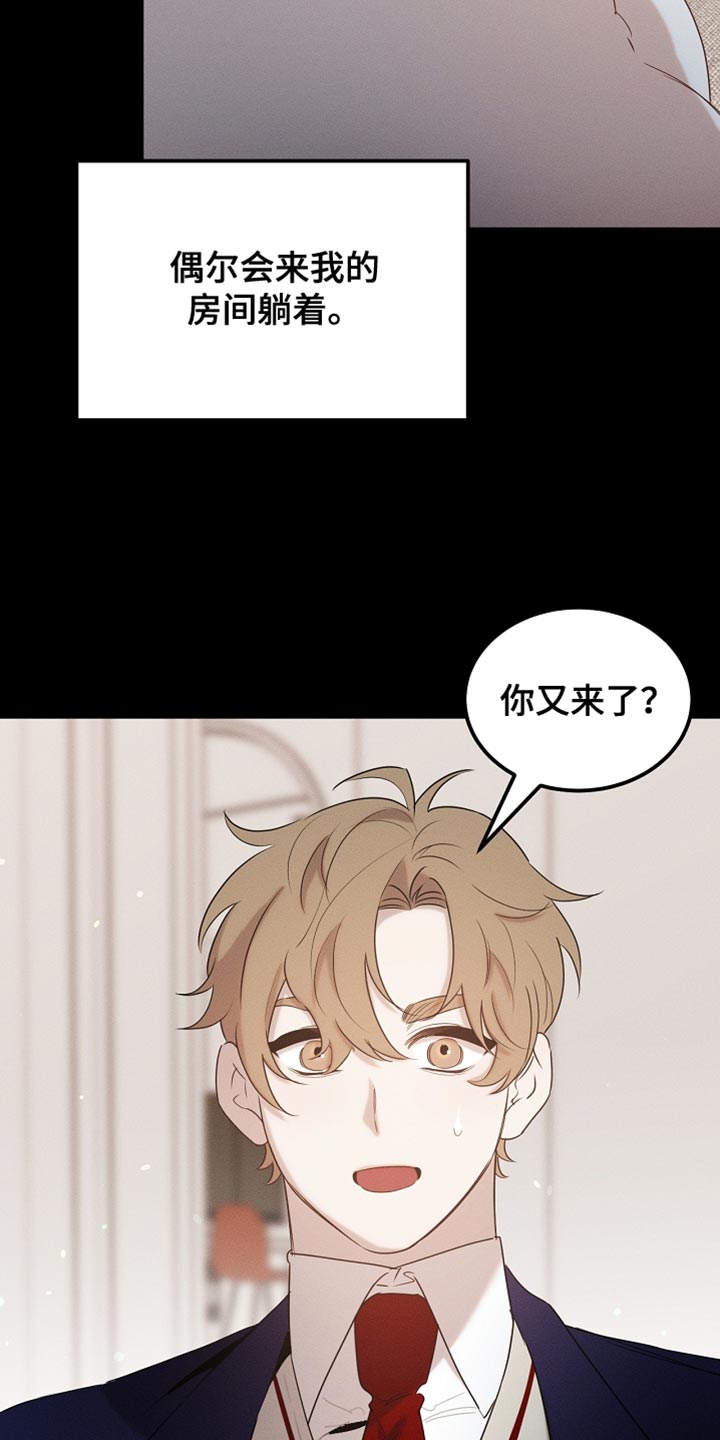 《白鸟奇遇记》简介漫画,第99章：【第二季】他正在担心我2图