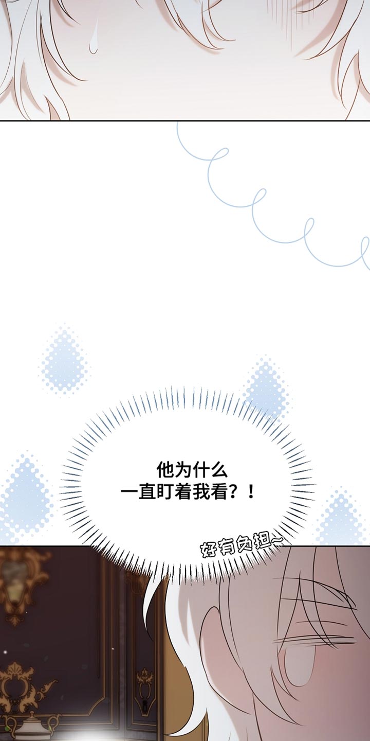 白鸟奇遇记1至200集漫画,第96章：【第二季】我送你回房3图
