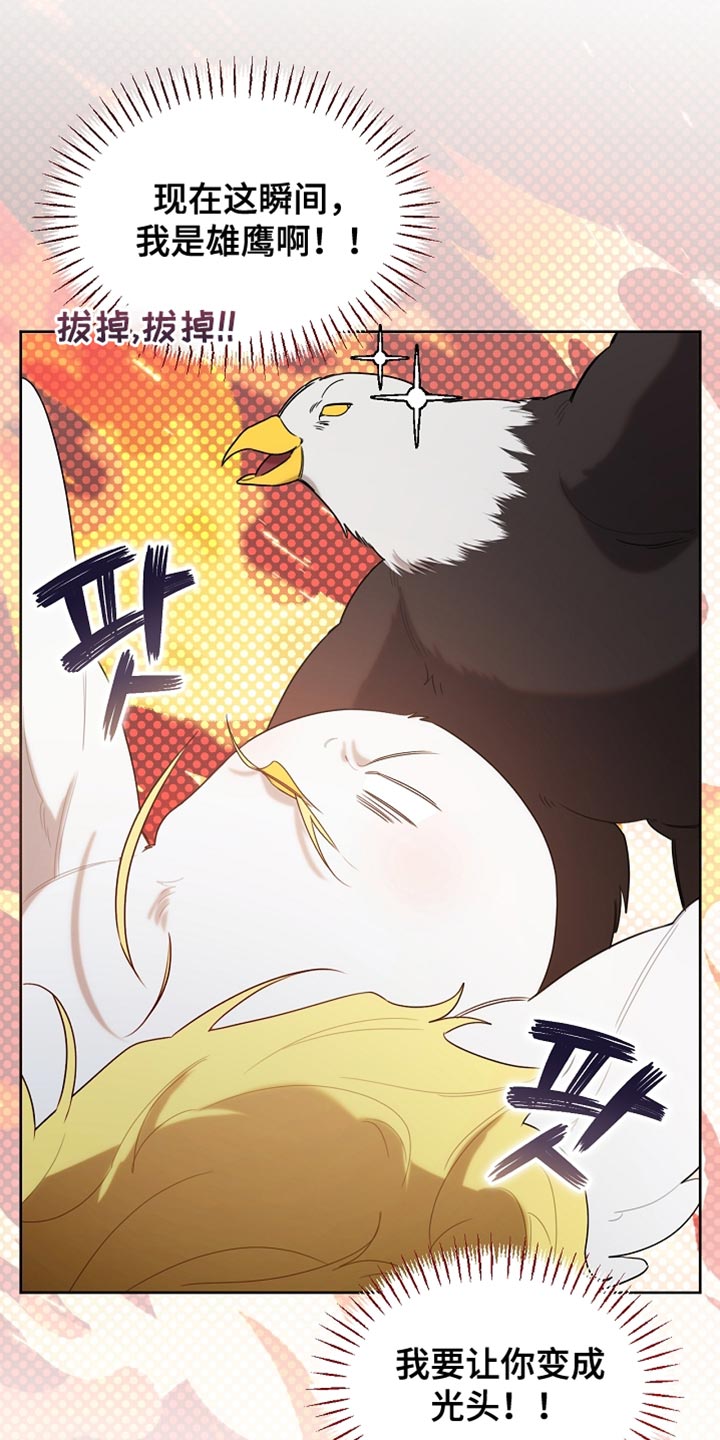 白鸟奇遇记漫画,第94章：【第二季】绑起来2图