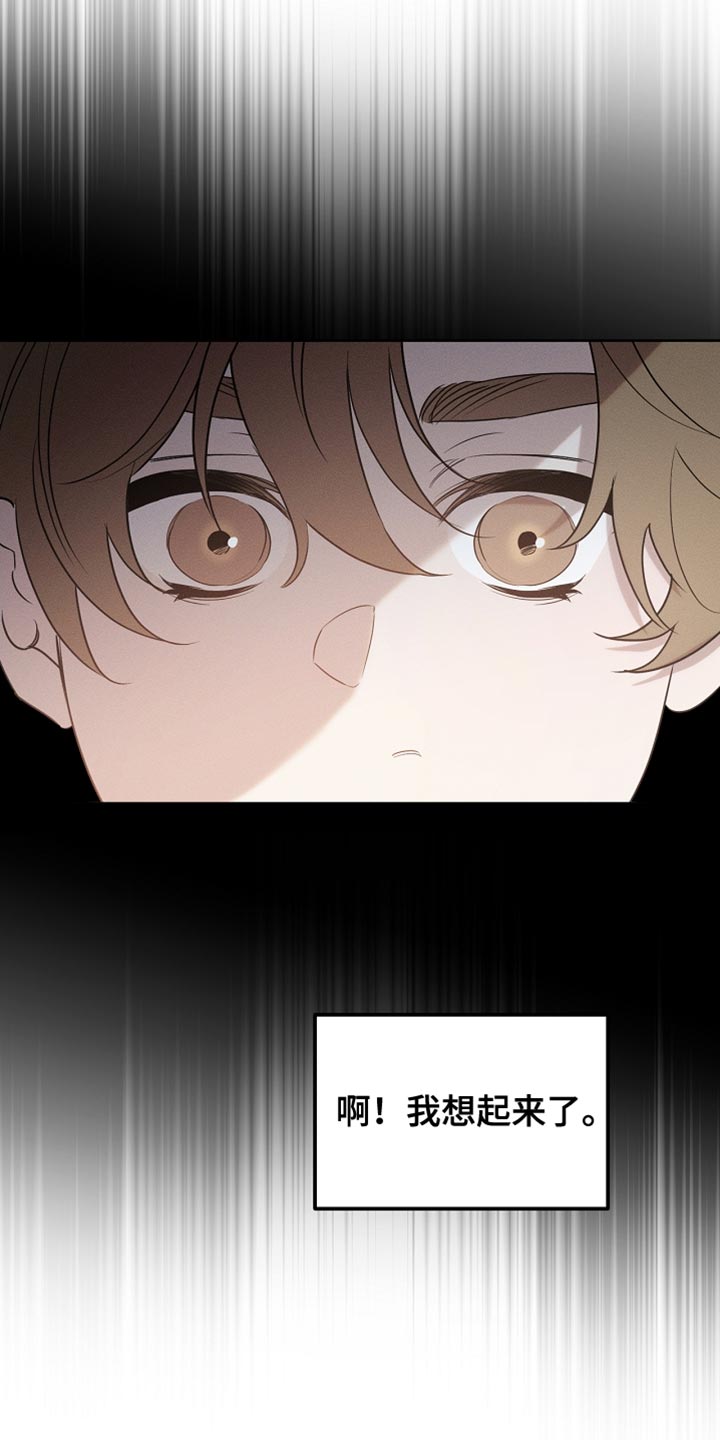 《白鸟奇遇记》简介漫画,第99章：【第二季】他正在担心我4图