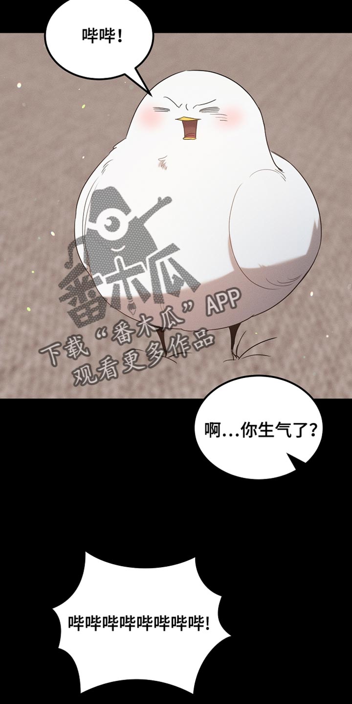 《白鸟奇遇记》简介漫画,第99章：【第二季】他正在担心我1图