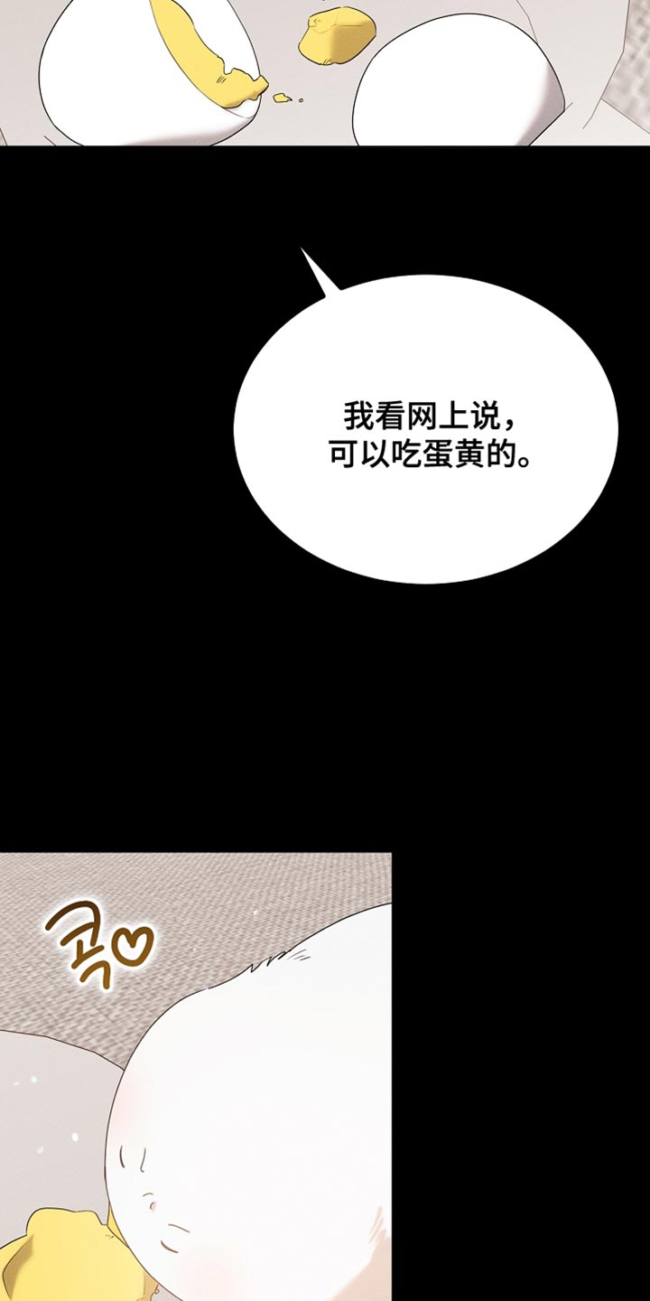 《白鸟奇遇记》简介漫画,第99章：【第二季】他正在担心我5图
