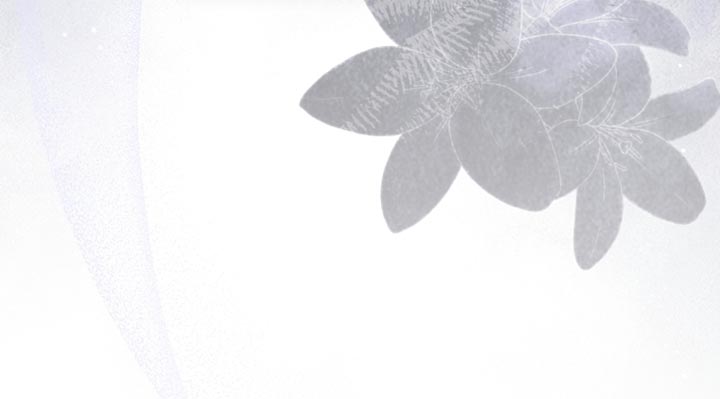 白鸟奇遇记6漫画,第89章：【第二季】有恋人吗？5图