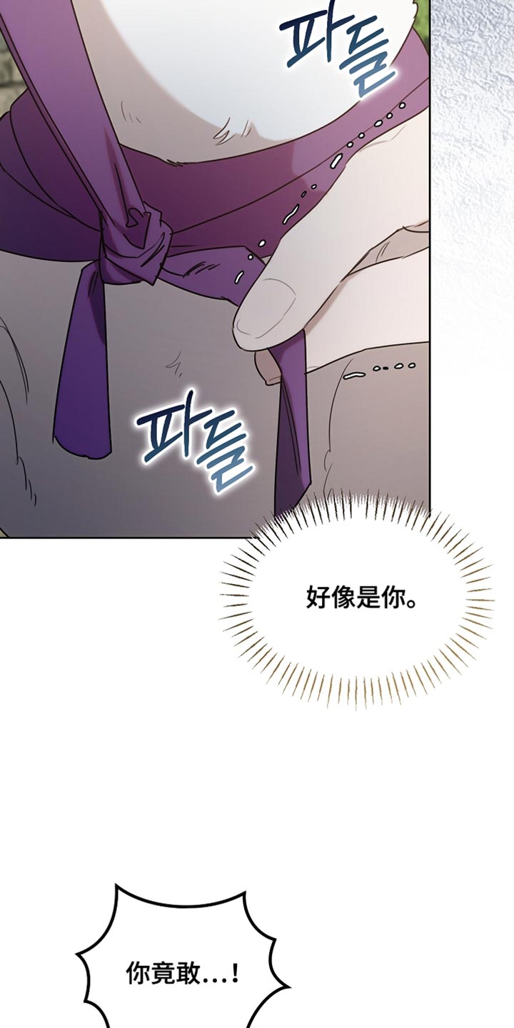 白鸟奇遇记漫画,第95章：【第二季】跟我一起走吧5图