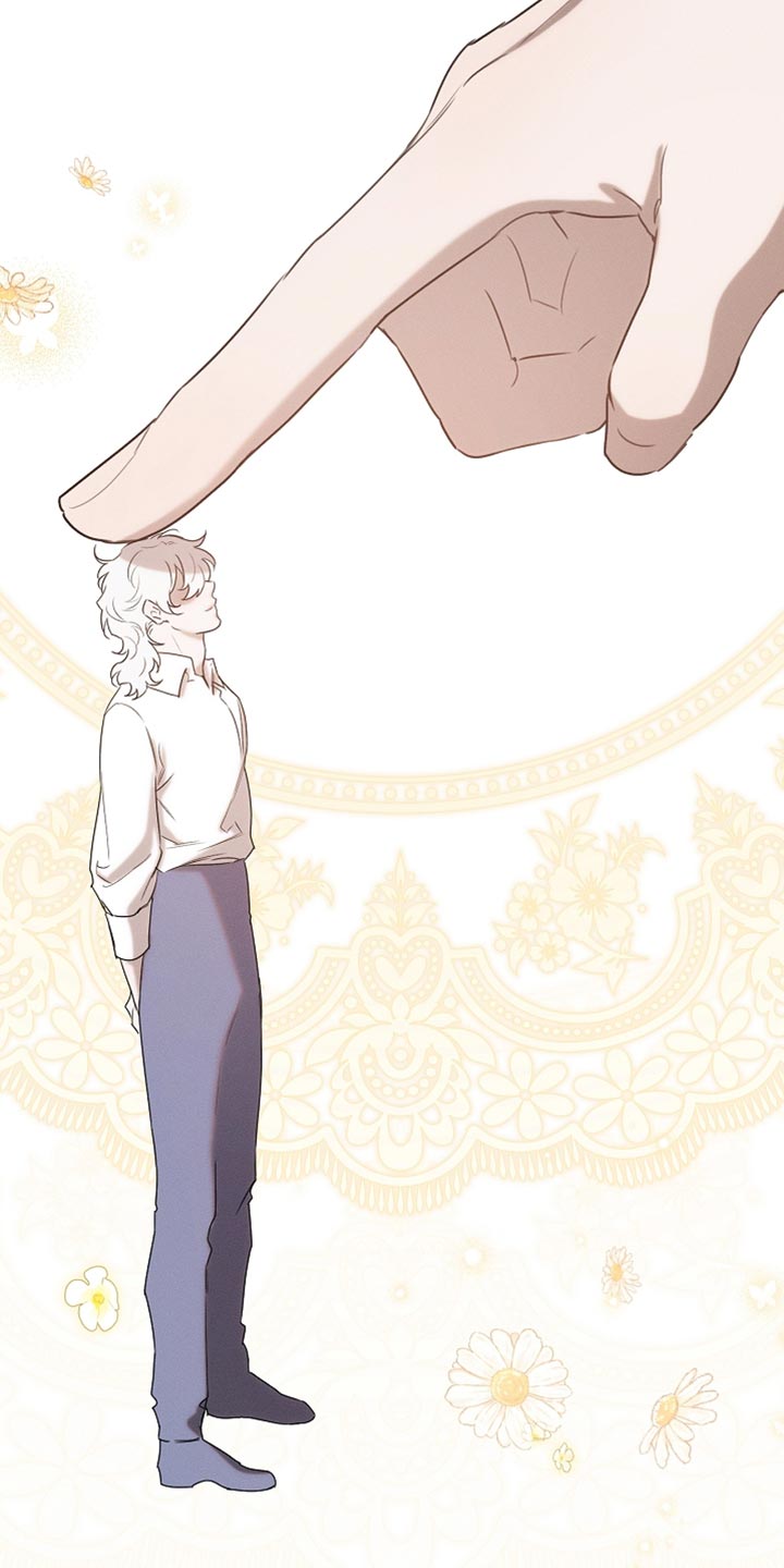 白鸟奇遇记漫画下拉式漫画,第87章：【第二季】我全都很好奇4图