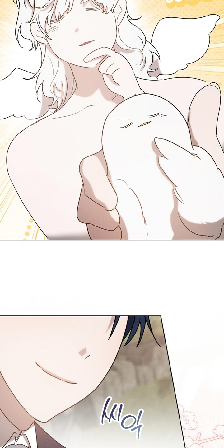 白鸟奇遇记全集完整版解说漫画,第93章：【第二季】不要过来啊2图