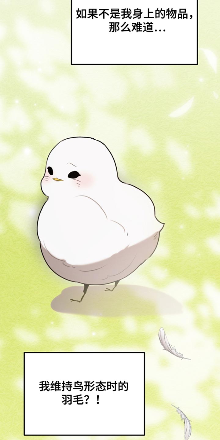 《白鸟奇遇记》简介漫画,第76章：反正我不吃亏5图