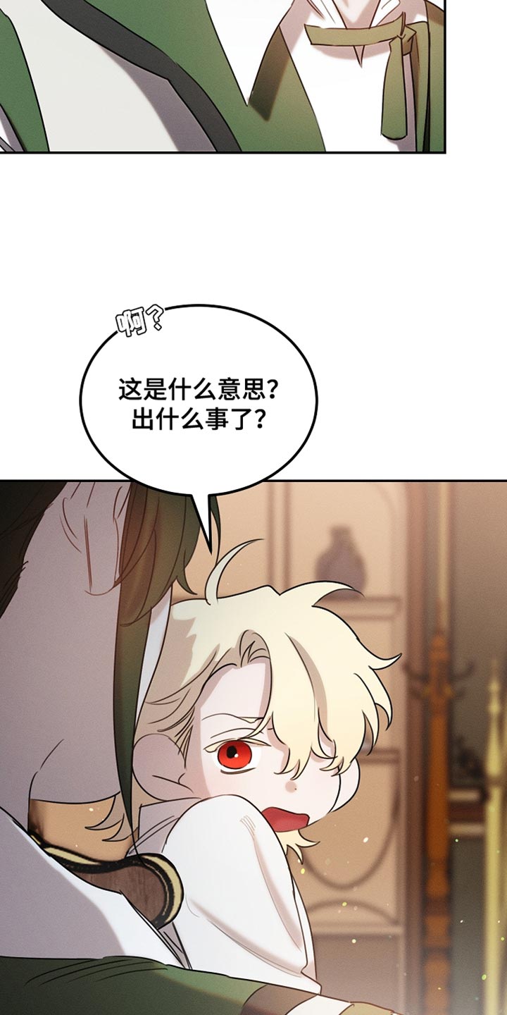 《白鸟奇遇记》简介漫画,第112章：【第二季】无法回头的选择2图