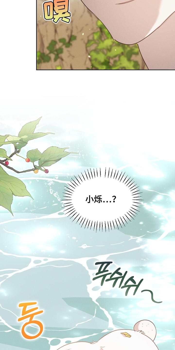 白鸟奇遇记漫画全集漫画,第104章：【第二季】在变一次鸟儿吗？1图