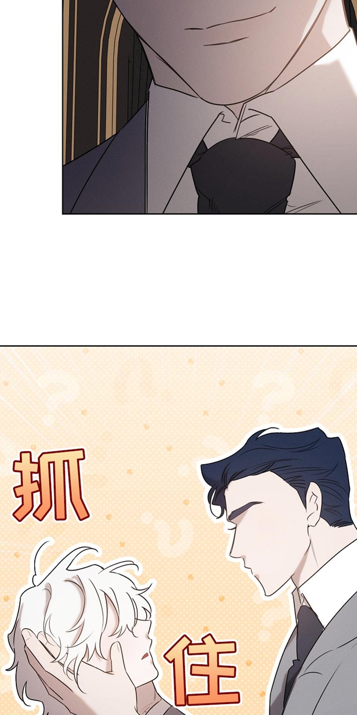 白鸟奇遇记6漫画,第91章：【第二季】你依旧很可爱3图
