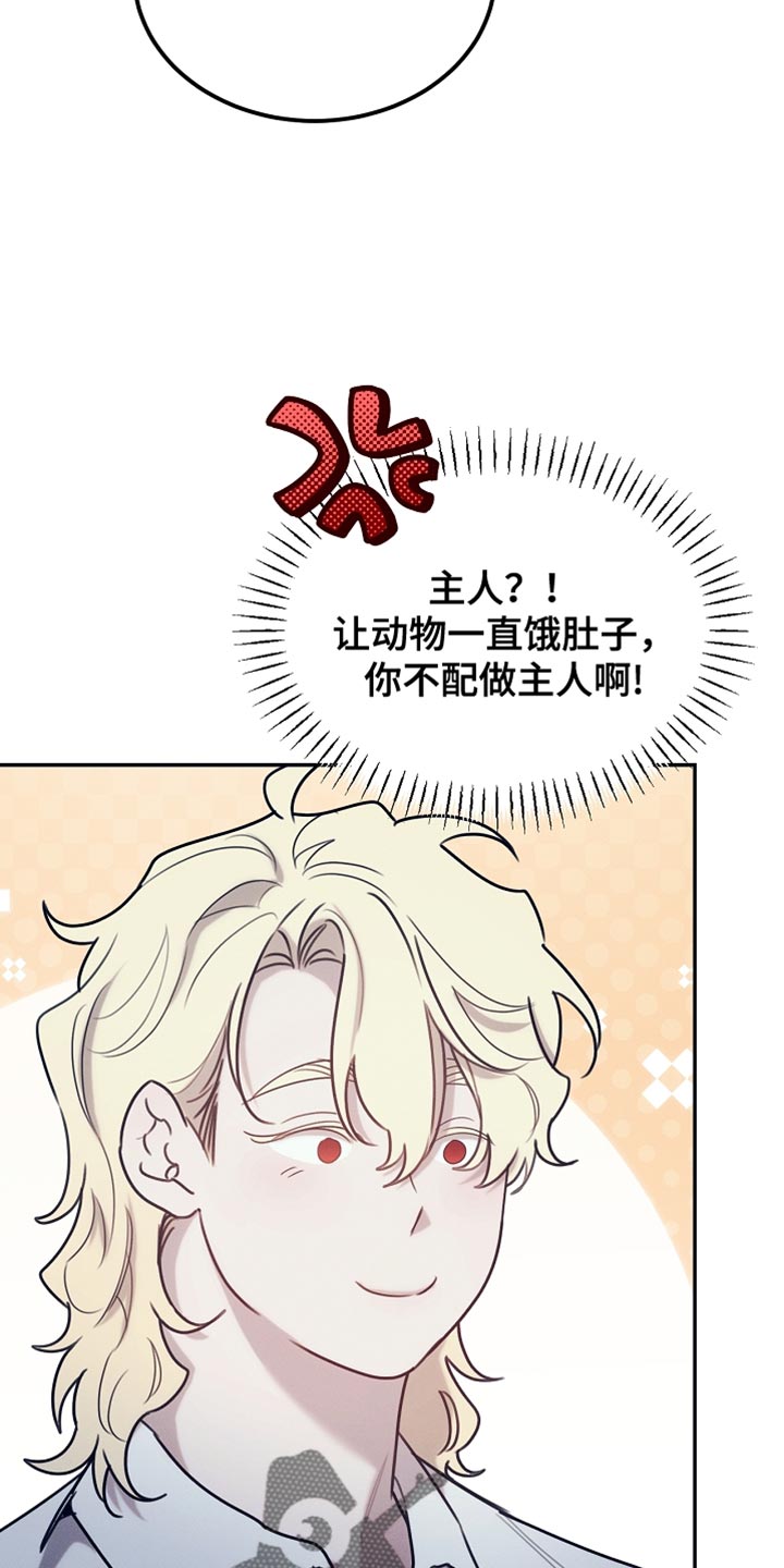 白鸟奇遇记漫画又名叫什么漫画,第109章：【第二季】仇人1图