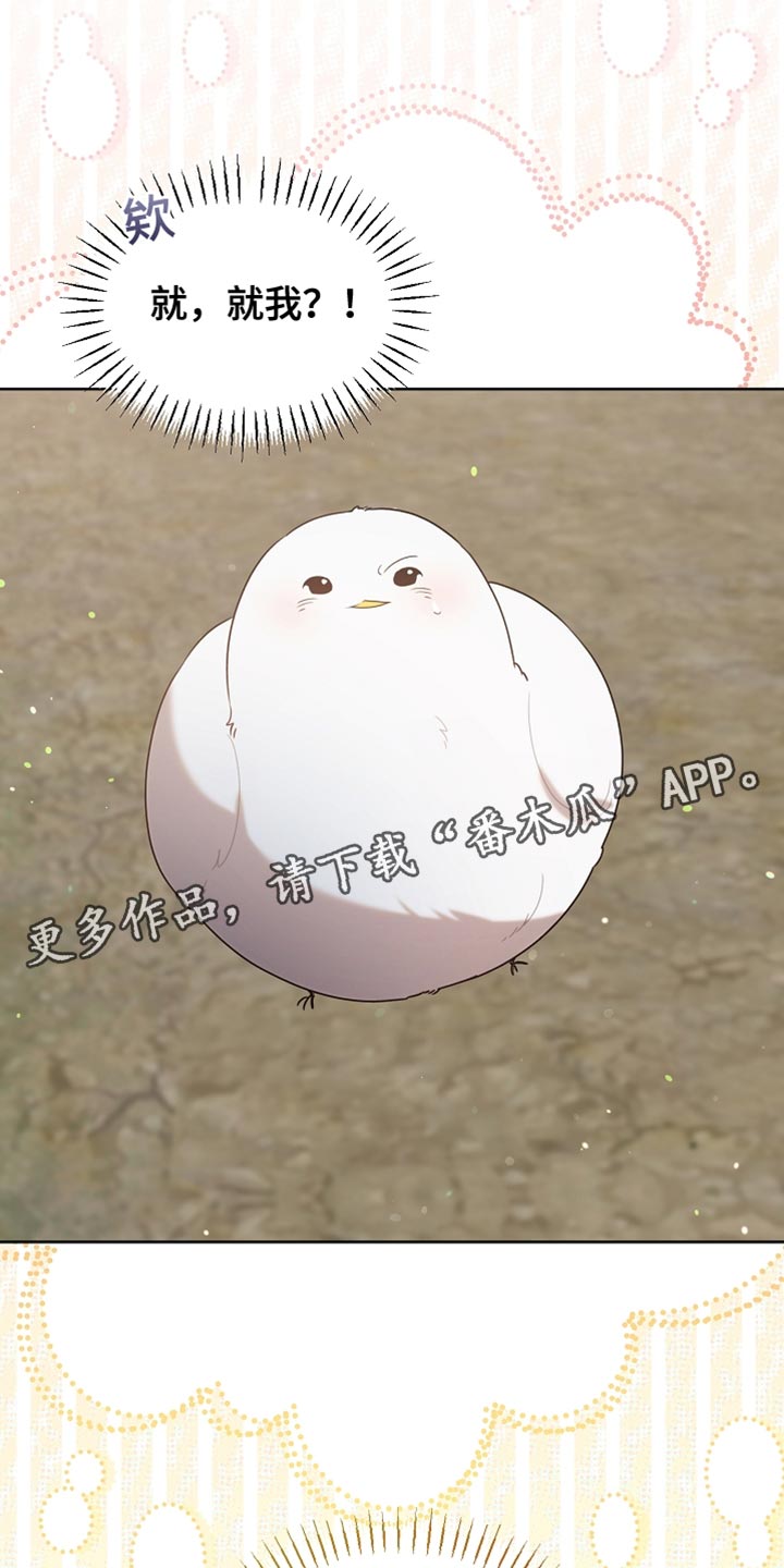 白鸟奇遇记漫画全集漫画,第95章：【第二季】跟我一起走吧2图