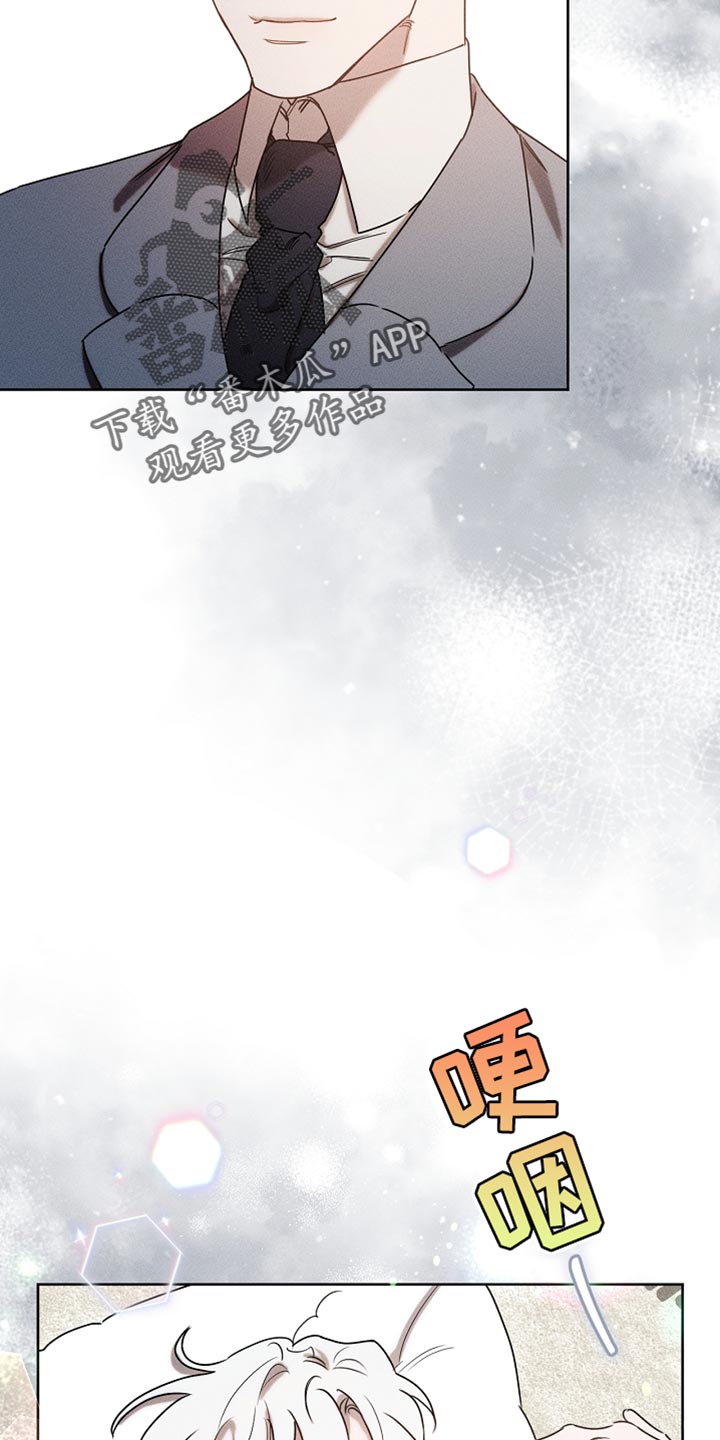 白鸟奇遇记6漫画,第89章：【第二季】有恋人吗？4图