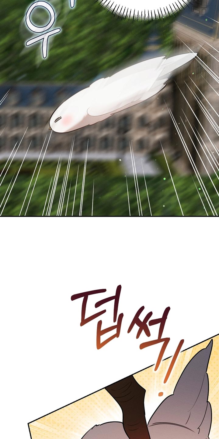 白鸟奇遇记6漫画,第107章：【第二季】被抓住了5图