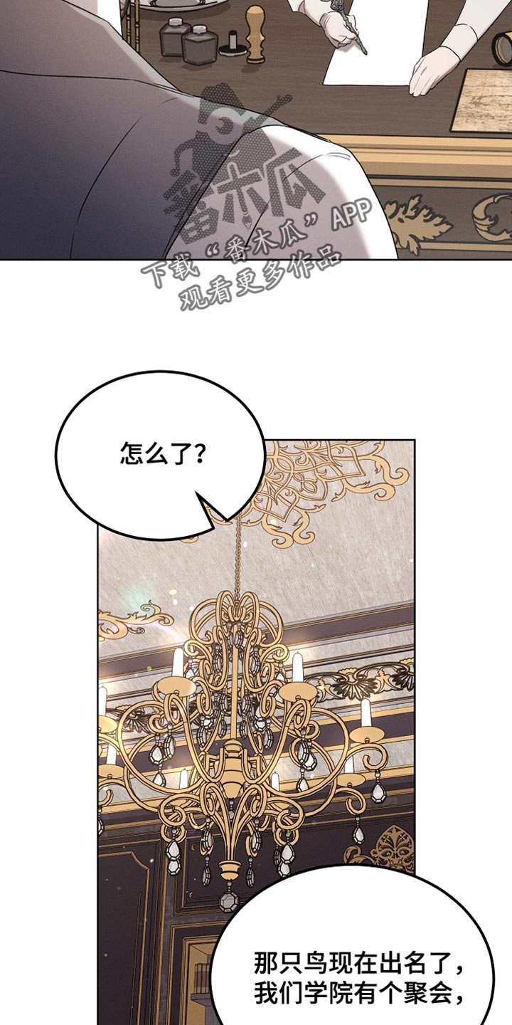 白鸟奇遇记漫画,第92章：【第二季】打赌2图