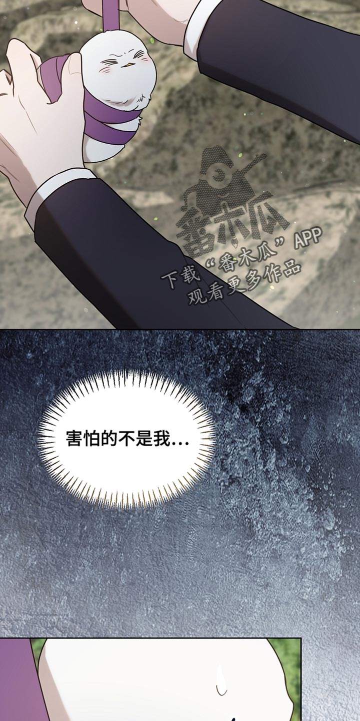 白鸟奇遇记漫画,第95章：【第二季】跟我一起走吧4图