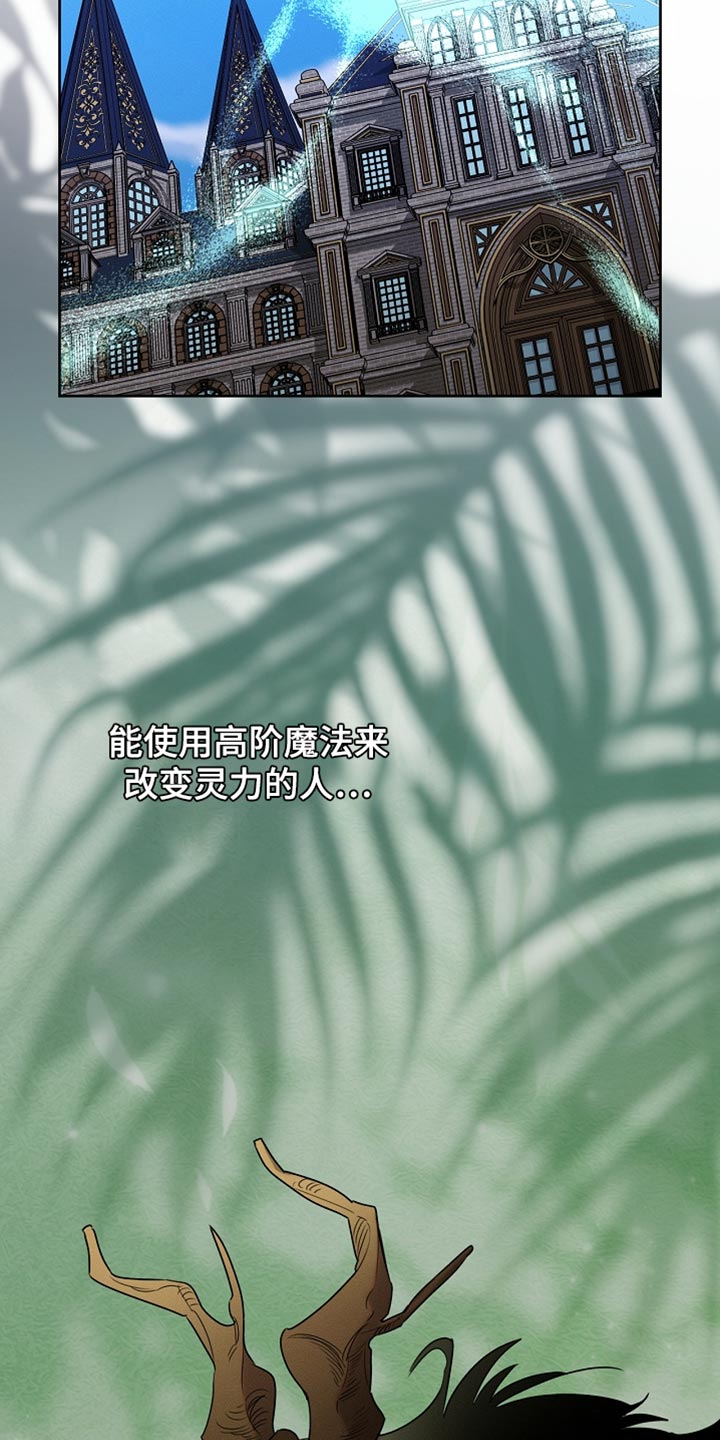 白鸟奇遇记漫画,第90章：【第二季】没有出现在我的梦里4图