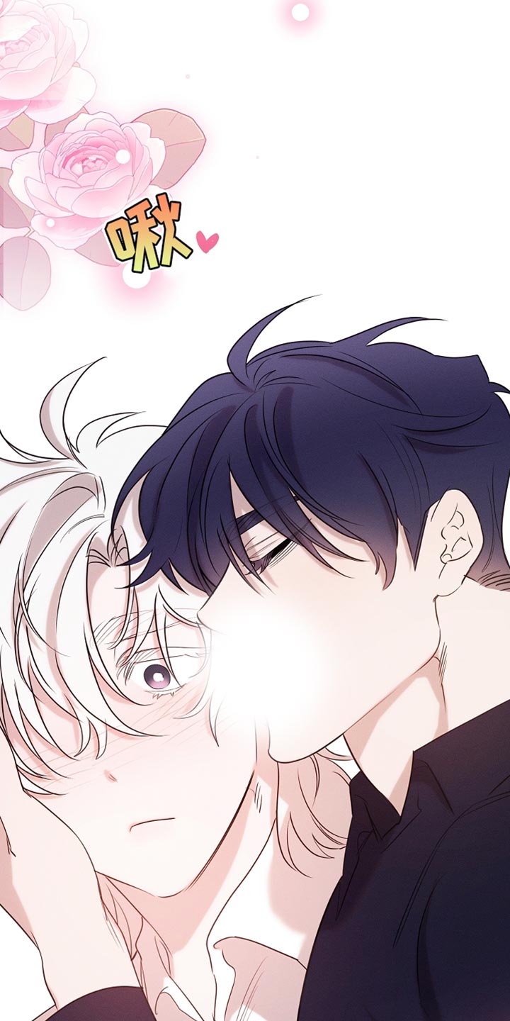 白鸟奇遇记漫画,第100章：【第二季】做个好梦1图